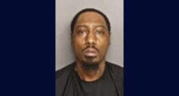 Pregnant woman exposed to HIV by father of child: Cops