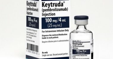 Preserve What Works: Protecting Seniors Through a Balanced Drug Pricing System