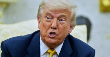 President Donald Trump will sign a new cryptocurrency bill into law on Friday