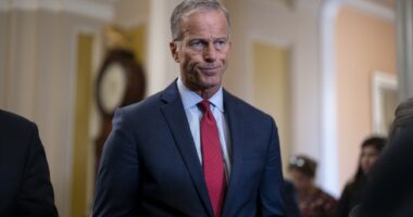 President Trump Scores Huge Senate Victory As $9 Billon Is Cut From Foreign Aid and Public Broadcasting
