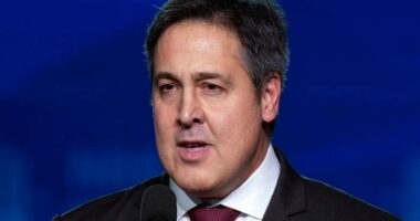 Project 2025 author Paul Dans will challenge Republican Sen. Lindsey Graham in South Carolina