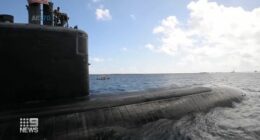 The Defence Minister has brushed off suggestions Australia's nuclear submarine deal is on shaky ground after concerns were raised in the United States.