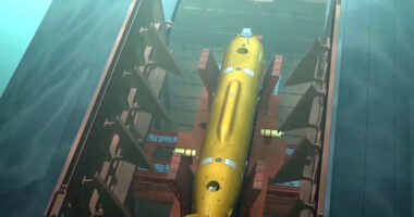 Illustration of the Poseidon underwater drone.