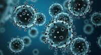 3D rendering of influenza virus (bodym/iStock)