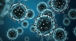 3D rendering of influenza virus (bodym/iStock)