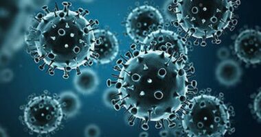 3D rendering of influenza virus (bodym/iStock)