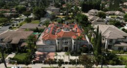 Questions about surrogacy are raised in case of California couple with house brimming with kids