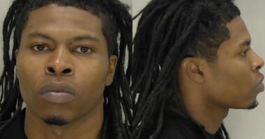 RCSO arrests seven people after search warrant on Brookshire Drive