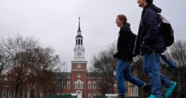 Republicans urge US universities to cut ties with Chinese-backed scholarship program