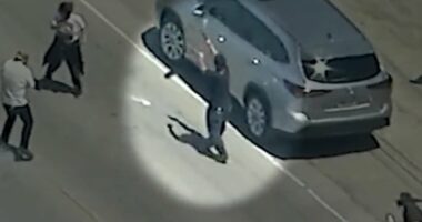 Reward offered for capture of rioter who shot at ICE during raid