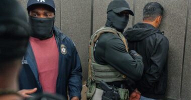 Rise of masked officers is controversial new ground in American life