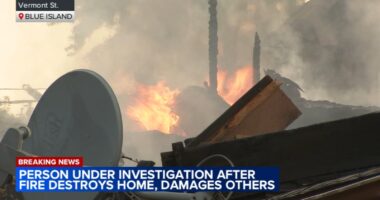 Ronaldo Nunez facing arson, animal cruelty charges in connection with large Blue Island fire in 2000-block of Vermont Street