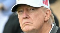 SARAH VINE: Madly, Trump and Farage are the only grown-ups in the room