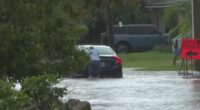 San Marco residents face persistent flood issues
