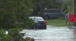San Marco residents face persistent flood issues