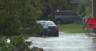 San Marco residents face persistent flood issues
