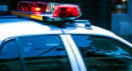 Sangamon, Menard Co. Crime Stoppers seeking tips in 2024 homicide