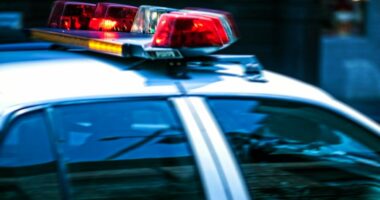 Sangamon, Menard Co. Crime Stoppers seeking tips in 2024 homicide