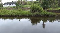 Sarasota Co. Commissioners to vote on investment for stormwater improvements