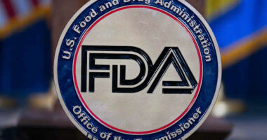 Sarepta shares slide again as drugmaker bows to FDA pressure to pause gene therapy