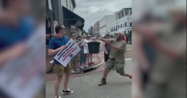 Savannah city council to discuss horse carriage safety