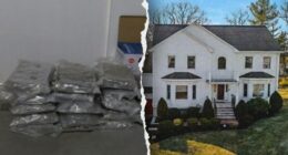 Seven Chinese nationals charged in multimillion-dollar marijuana trafficking operation