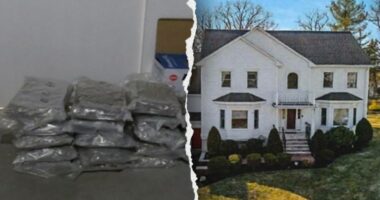 Seven Chinese nationals charged in multimillion-dollar marijuana trafficking operation