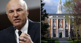 Shark Tank's Kevin O'Leary warns against EVER doing this job