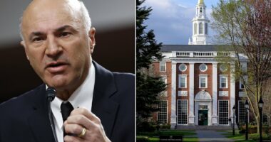 Shark Tank's Kevin O'Leary warns against EVER doing this job