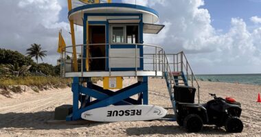 Shark bite in South Florida sends man to hospital