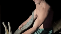 Man wrestling a crocodile.