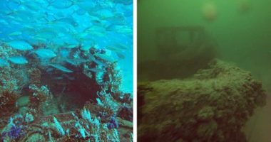 Photos of the same shipwreck taken by diver Mark Tozer before and after the algal bloom show a stark contrast.