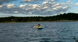 Paddleboarder on calm water near a shoreline.