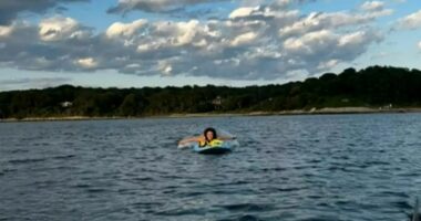 Paddleboarder on calm water near a shoreline.