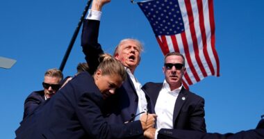 Former President Trump is surrounded by Secret Service agents after an assassination attempt at a campaign rally in Butler, Pa. on July 13. Associated Press/Evan Vucci