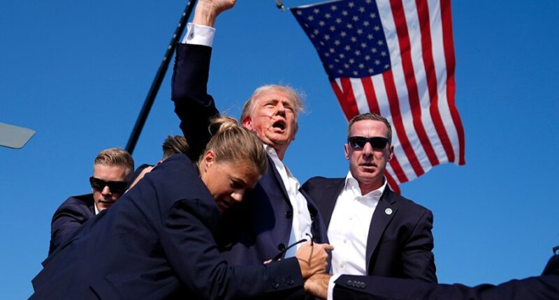 Former President Trump is surrounded by Secret Service agents after an assassination attempt at a campaign rally in Butler, Pa. on July 13. Associated Press/Evan Vucci