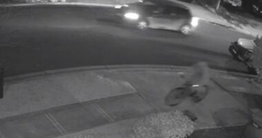 Six men are on the run after brutally attacking a man with baseball bats near Campbelltown in Sydney's south-west.