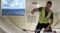 Snake on a plane delays Virgin Australia Flight for two hours in Melbourne to Brisbane