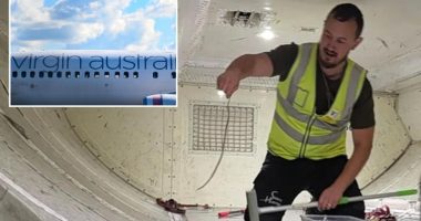 Snake on a plane delays Virgin Australia Flight for two hours in Melbourne to Brisbane