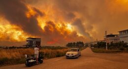 Europe is sweltering under a deadly heat dome, triggering wildfires across Turkey (pictured) and Greece