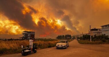 Europe is sweltering under a deadly heat dome, triggering wildfires across Turkey (pictured) and Greece