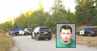 Son allegedly admitted to killing parents, sister, dog