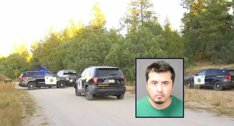 Son allegedly admitted to killing parents, sister, dog