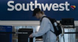 Southwest Airlines flight headed to Las Vegas takes dramatic plunge in response to nearby aircraft