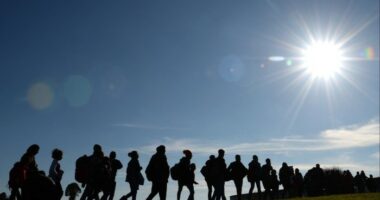Migrants are on their way from the Austrian-German border to the first registration point of the German federal police near the small Bavarian village Wegscheid, southern Germany