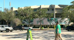 Speculation grows that St. Pete may eventually lose baseball, soccer teams