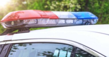Springfield cafe temporarily closed Sunday morning after car drove through building