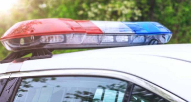 Springfield cafe temporarily closed Sunday morning after car drove through building