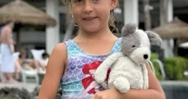 Girl holding a stuffed dog.