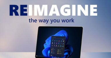 Step Away From Subscriptions and Access Windows 11 Pro and Microsoft Office Pro 2019 for $46